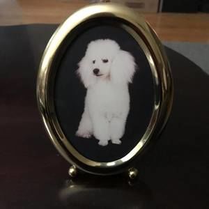 Meet your Posher, Dianna